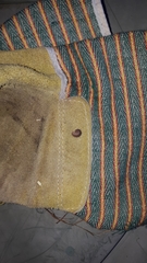 Polypogon tentacularia