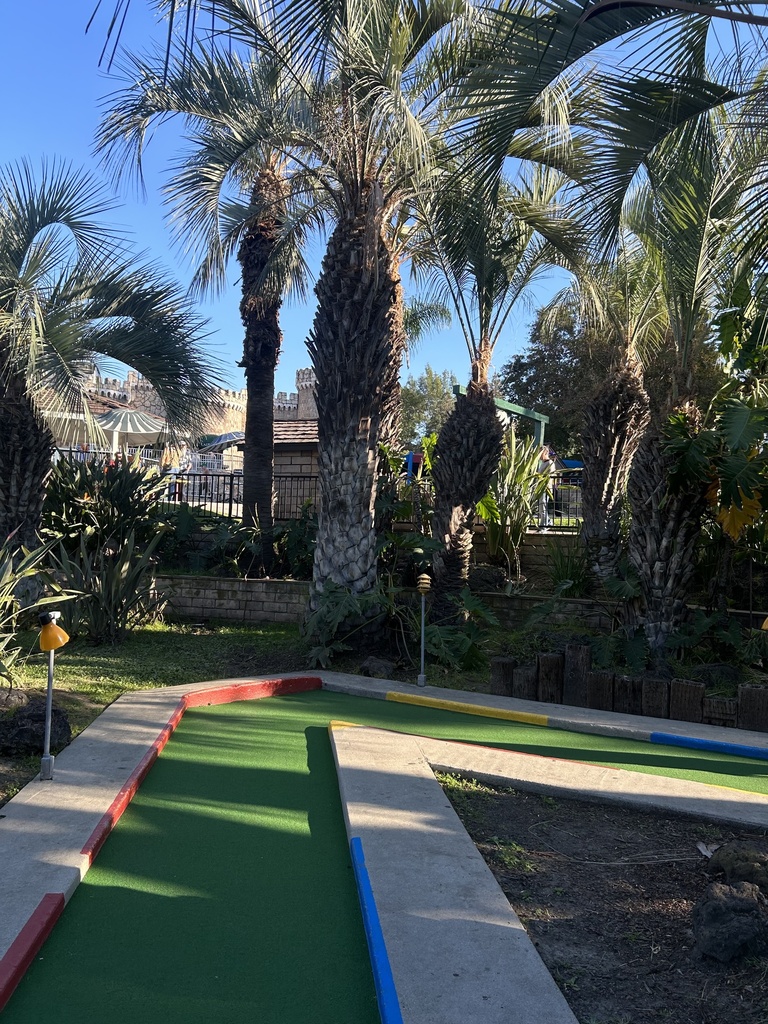 Date Palm From Sherman Oaks Castle Park Los Angeles CA US On date-palm-from-sherman-oaks-castle-park-los-angeles-ca-us-on