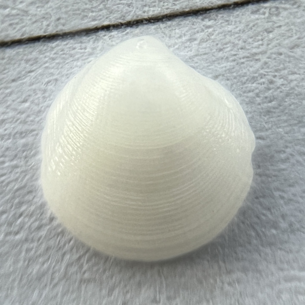 Parvilucina crenella