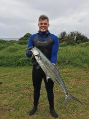 Kanadi Kingfish photo 2