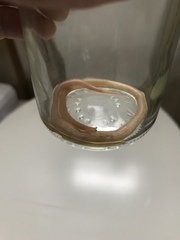 Ascaris lumbricoides