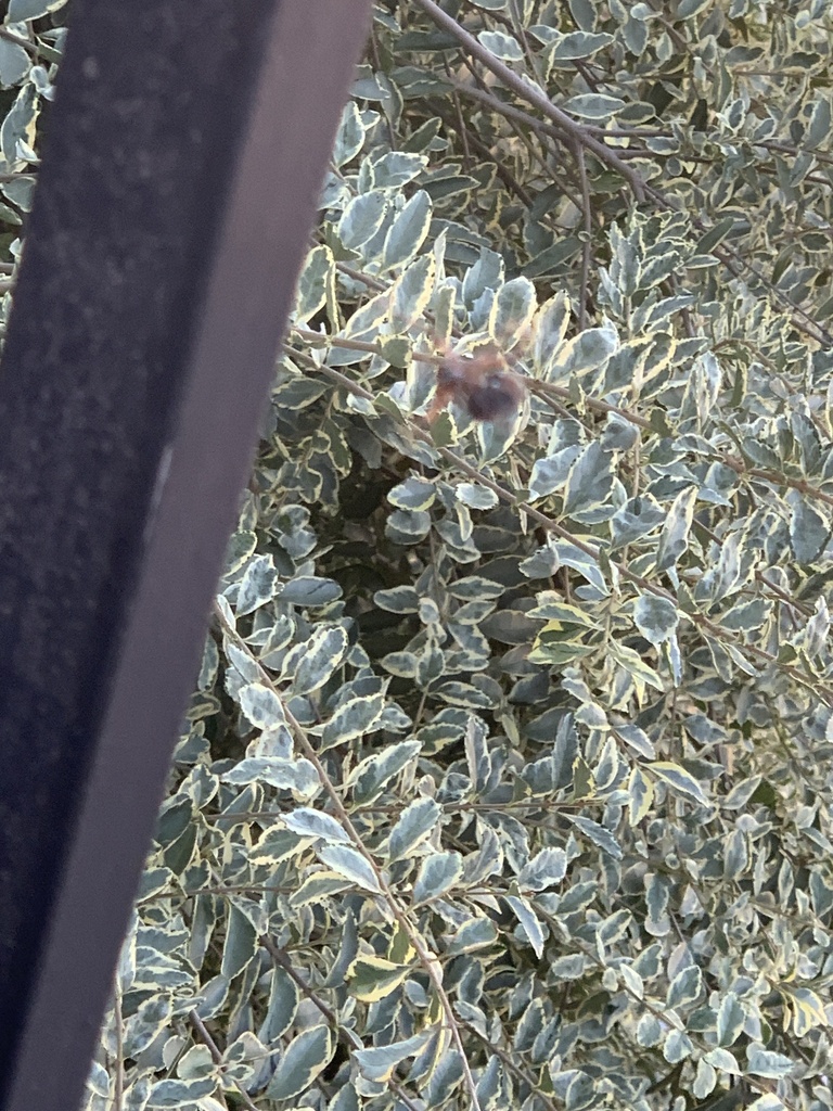 Something from CS 2890, Rush Springs, OK, US on November 3, 2023 at 04