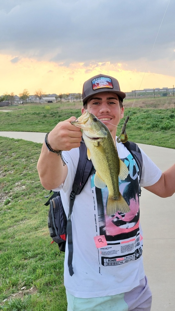 Largemouth Bass from Fort Worth, TX, US by lcant25 · iNaturalist