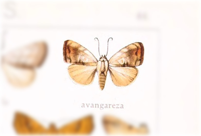 Bagisara avangareza