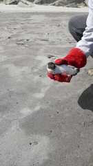 Pelecanoides garnotii