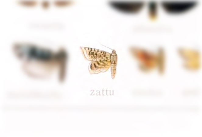 Acidaliodes zattu