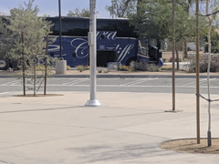 Geococcyx californianus