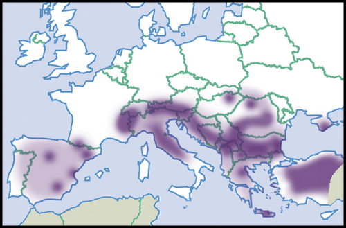 Oligolimax annularis