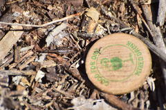 Superstitionia donensis