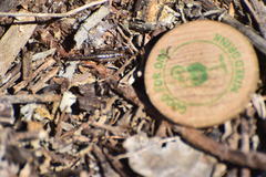 Superstitionia donensis