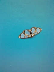 Glyphodes grandisalis