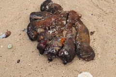 Red Bait photo 3