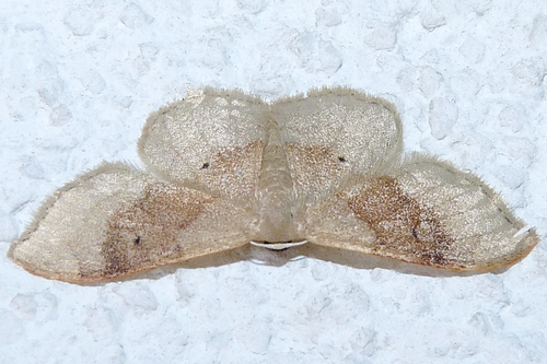 Portland Ribbon Wave, Jennersdorf, Österreich, photo 10 of 10