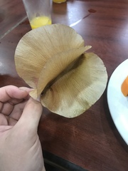 Cavanillesia platanifolia