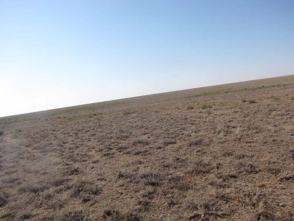 Russian Saiga in August 2023 by Воротилов Антон. Там на горизонте можно ...