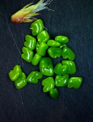 Astragalus leptocarpus