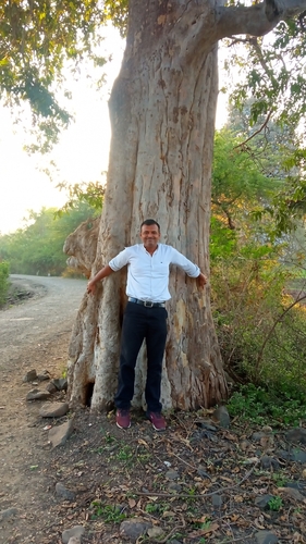 Arjun tree
