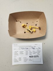 Hygrocybe parvula