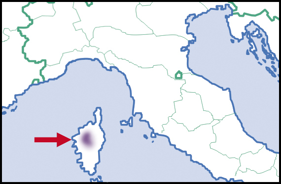 Tacheocampylaea romagnolii