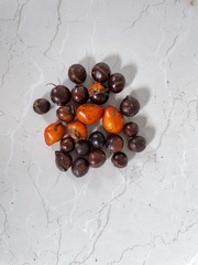 Polystachya Aphanamixis (Aphanamixis polystachya)