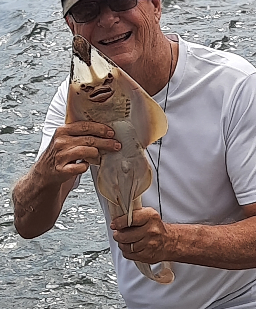 Chola Guitarfish