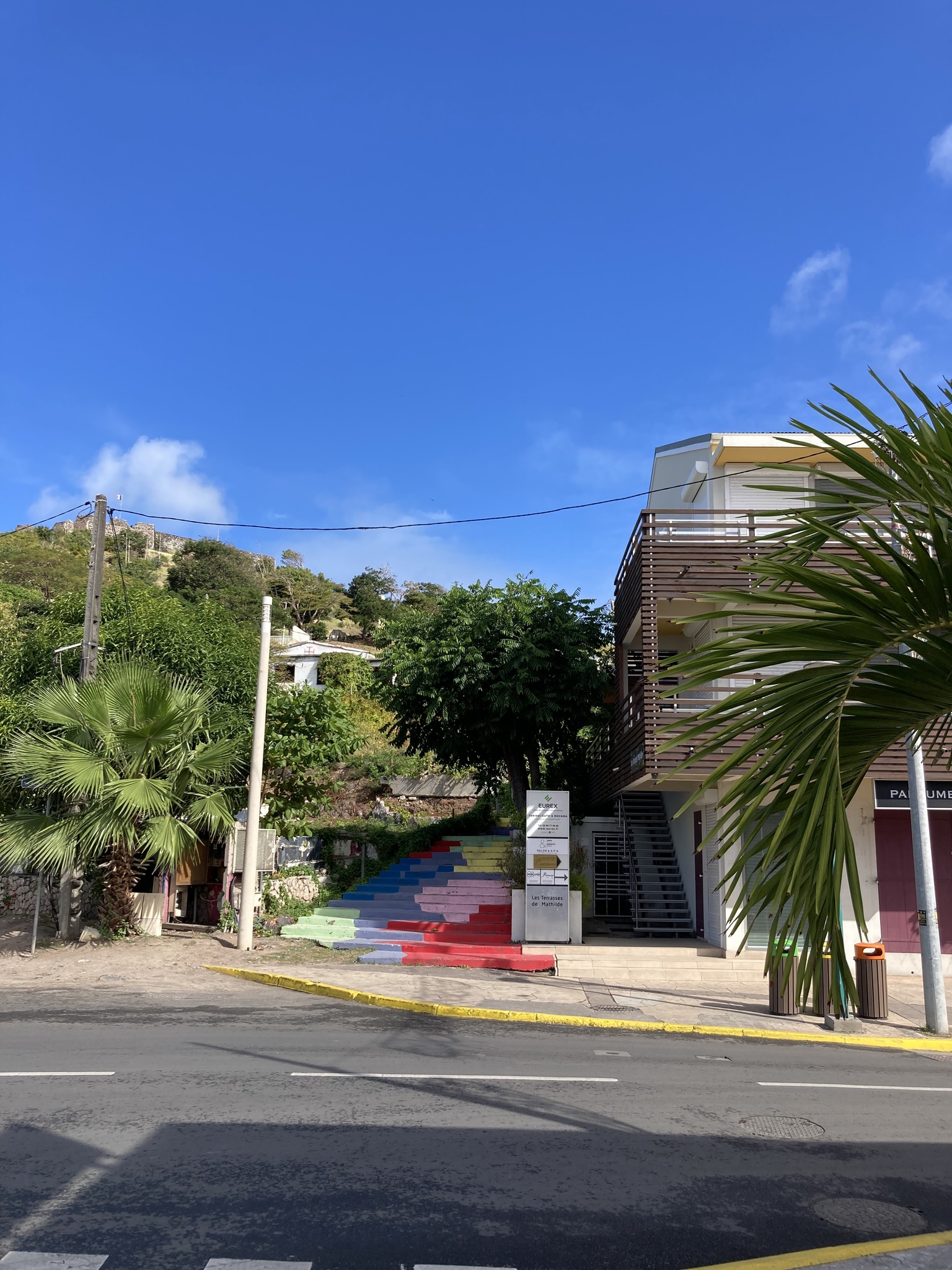 Imagem de Umbu