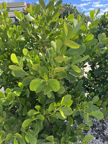 Foto de Abaneiro