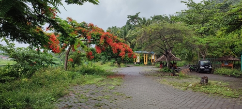 Foto de Flamboyant