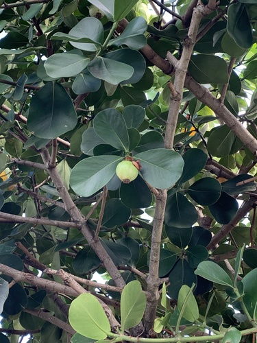 Foto de Abaneiro
