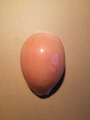 Callistocypraea aurantium
