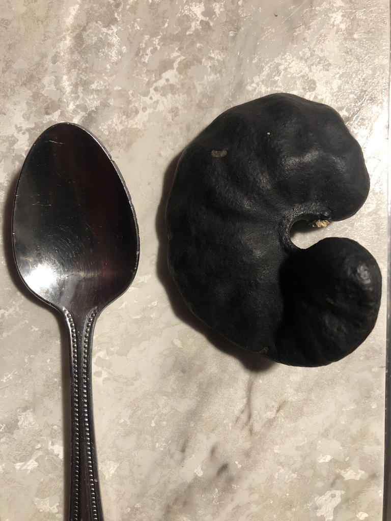 Foto de Timbaúba