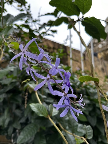 Foto de Primavera