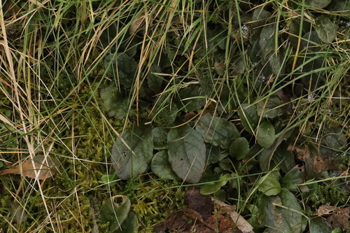 Foto de Carpete