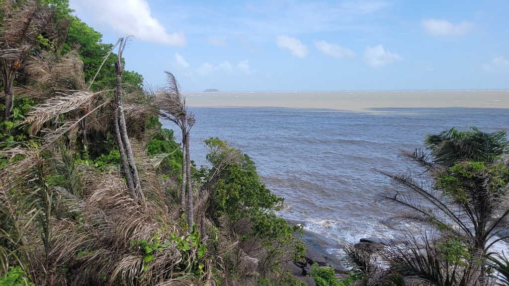 Foto de Tucumã