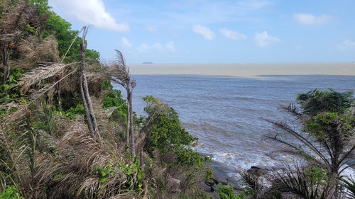 Tucumã