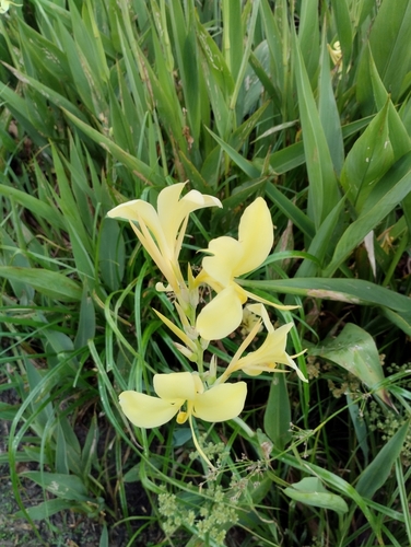 Foto de Paquevira