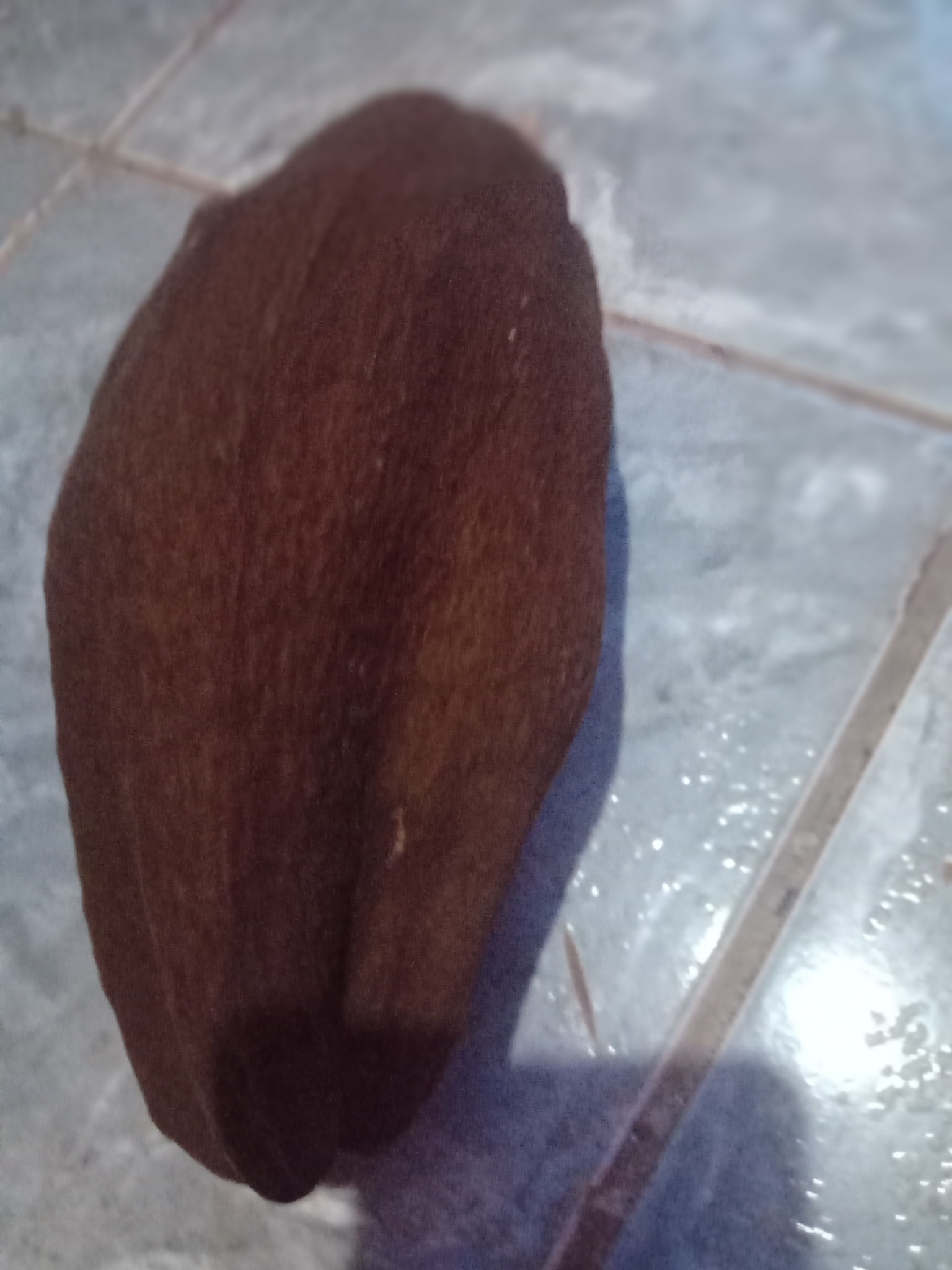 Imagem de Munguba