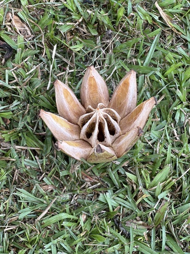Foto de Abaneiro