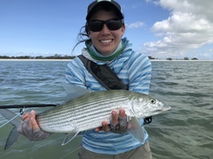 Indo-Pacific Bonefish photo 3