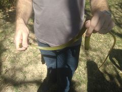 Chironius bicarinatus