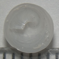Circular Chinese-hat
