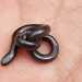 Tschudi's Blind Snake - Photo (c) Mauro Huamaní, some rights reserved (CC BY-NC), uploaded by Mauro Huamaní