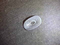 Amblychilepas nigrita