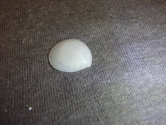 Microstagon