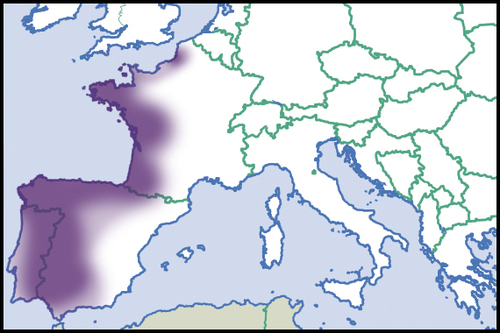 Ponentina revelata