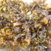 Sargassum cristaefolium - Photo (c) Liselle Santos, algunos derechos reservados (CC BY-NC-SA), subido por Liselle Santos