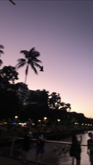 Pteropus conspicillatus