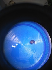 Glomeridae