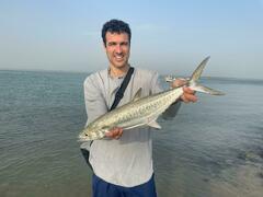 West African Spanish Mackerel photo 3