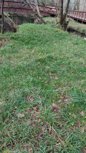 Foto de Narciso